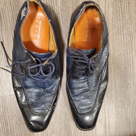 USA SIZE 15 Black and Blue Business Shoes. - Picture 1 of 7
